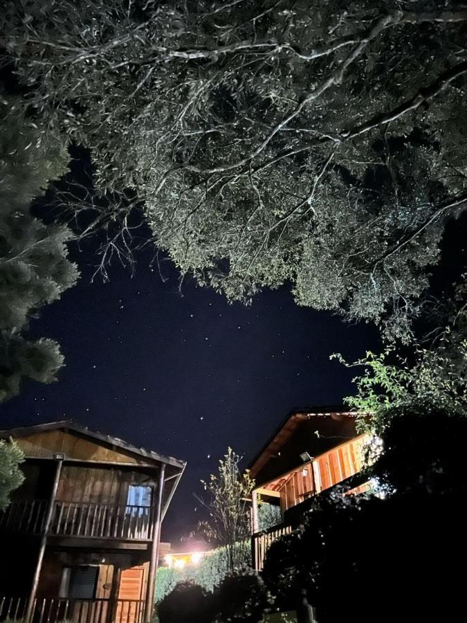 Sao Miguel *